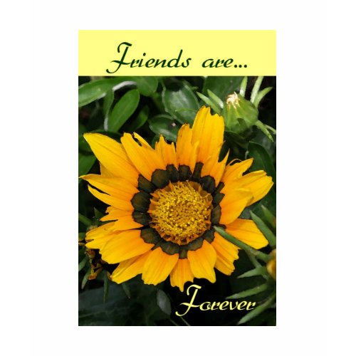 Friends Are shirt