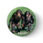 Friends Button