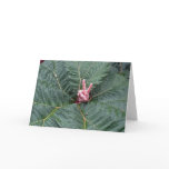 Friends? cards
