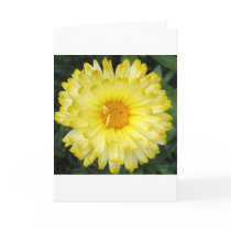 Friends cards by awakeninghearts Friends cards