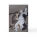 Friends cards by kristinialeanna Friends cards