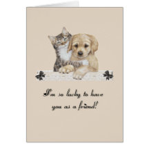 Friends Cards