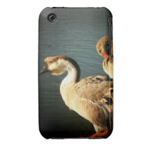 Friends... Case-Mate iPhone 3 Cases