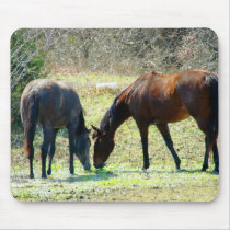 Friends Forever Horses Mousepad mousepads