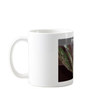 Friends Forever Mugs