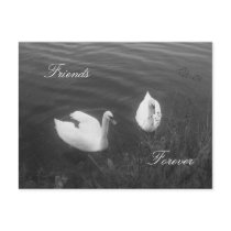 Friends , Forever postcards