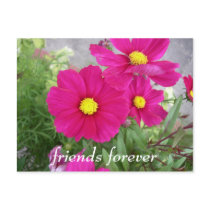 friends forever postcard