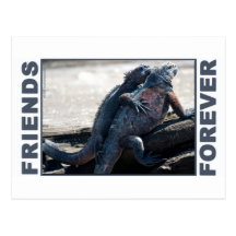 Friends Forever Postcard