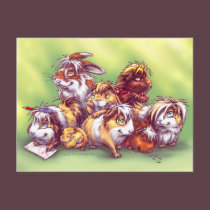 Friends from Pet Shop II postcards