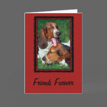 Friends Furever [ Forever]
