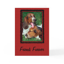 Friends Furever [ Forever] cards