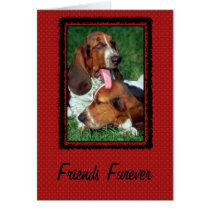 Friends Furever [ Forever] cards