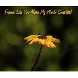 Friends Like You mousepad