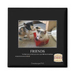 Friends magnets