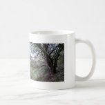 Friends of Gilroy Hot Springs mug - manzanito