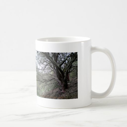 Friends of Gilroy Hot Springs mug - manzanito