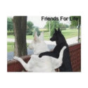 friends postcards by pabgomz005 friends postcards