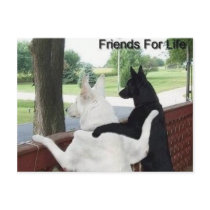 friends postcards by pabgomz005 friends postcards