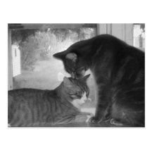 Friends Postcard