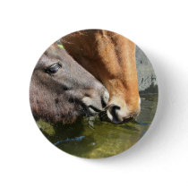Friends Share A Drink Horses Buttons