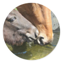 Friends Share A Drink Horses Stickers