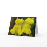 "friends" (Snap dragons)  Greeting Cards