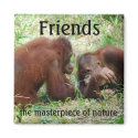 Friends square magnet