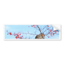Friends - Squirrel and Bird Friends Eating Berries Bumper Sticker