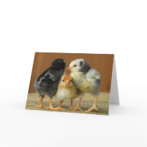Friends Stick Together cards