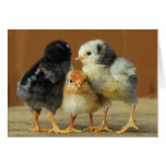 Friends Stick Together Card