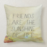 Friends & Sunshine Pillow pillows