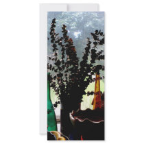 Friends Window rack cards