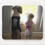 Friends With A View Shih tzu Mousepad
