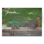 Friendship and nuts cards