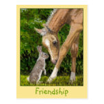 Friendship Bunny & Foal postcard