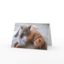 Friendship Card by Andici Friendship Card