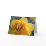 friendship card