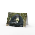 Friendship Card #1