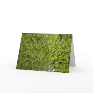 Friendship card from herbal collection, thyme card