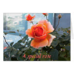 Friendship card with coral rose.