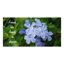 Friendship Cards photo cards
