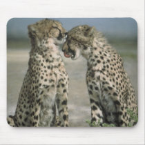Friendship-Cheetahs mousepads by nature_art Friendship-Cheetahs mousepads