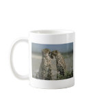 Friendship-Cheetahs mugs
