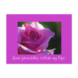 Friendship Colors my Life postcard