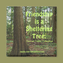 Friendship Inspirational Motivational Magnet magnets