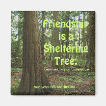 Friendship Inspirational Motivational Magnet