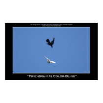FRIENDSHIP IS COLOR-BLIND ~ Photo Poster posters by RavenSpiritPrints FRIENDSHIP IS COLOR-BLIND ~ Photo Poster posters