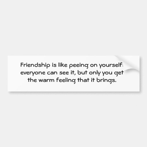 Friendship is like peeing on yourself: everyone... bumper sticker