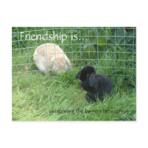 Friendship is..., overcoming the barriers between postcards by celtxian Friendship is..., overcoming the barriers between postcards