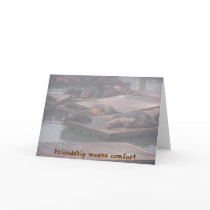 Friendship means comfort cards